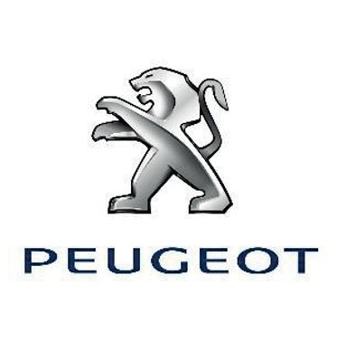 reference wincard tunisie Delice PEUGEOT