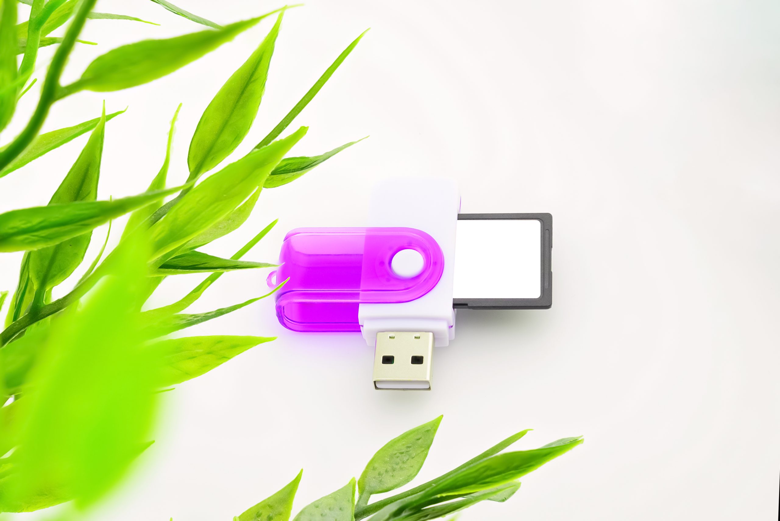 purple USB card reader with multiple slots isolated on white background, artificial flower nearby, top view